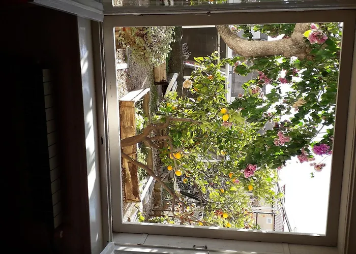 Lemona Daire Makarska